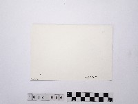 黃則修攝建築物藏品圖，第2張