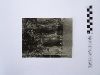 黃則修攝湖中景致1藏品圖，第1張