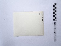 黃則修攝湖中景致1藏品圖，第2張