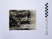 黃則修攝湖中景致2藏品圖，第1張