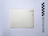 黃則修攝湖中景致2藏品圖，第2張