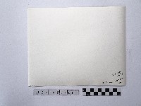 黃則修攝湖中景致4藏品圖，第2張