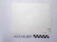 黃則修攝放牧小童藏品圖，第2張