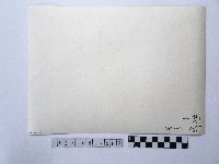 黃則修攝湖中景致7藏品圖，第2張