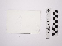 黃則修攝瀑布1藏品圖，第2張