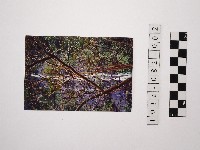 黃則修攝瀑布2藏品圖，第1張