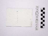 黃則修攝瀑布2藏品圖，第2張