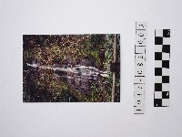 黃則修攝瀑布3藏品圖，第1張