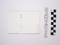 黃則修攝瀑布3藏品圖，第2張