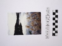 黃則修攝湖畔景致藏品圖，第1張