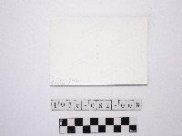 黃則修攝樹林藏品圖，第2張