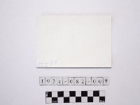 黃則修攝樹林藏品圖，第2張