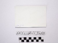 黃則修攝樹林藏品圖，第2張