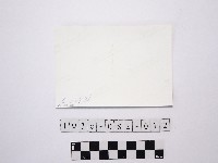 黃則修攝梅花池藏品圖，第2張