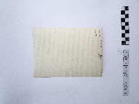 黃則修攝冰樹迎曦藏品圖，第2張