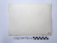 黃則修攝合歡雪坡與奇萊主峰藏品圖，第2張