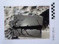 黃則修攝高山風情系列照片藏品圖，第1張