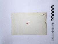 黃則修攝悔藏品圖，第2張