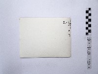 黃則修攝藻井藏品圖，第2張