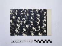 黃則修攝師父頭部背影藏品圖，第1張