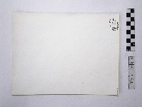 黃則修攝野柳地景藏品圖，第2張