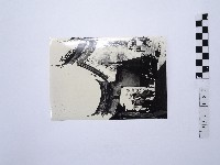 黃則修攝廟門側面照片藏品圖，第1張