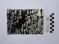 黃則修攝磚牆牆面藏品圖，第1張