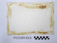 黃則修攝樂器と娛樂用具藏品圖，第2張