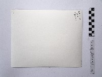 黃則修攝海面景致1藏品圖，第2張