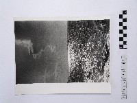 黃則修攝海面景致2藏品圖，第1張