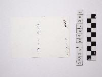 黃則修攝溪流與家屋藏品圖，第2張
