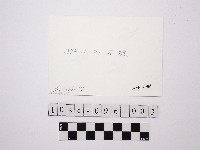 黃則修攝溪流藏品圖，第2張