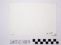 黃則修攝田園藏品圖，第2張