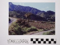 黃則修攝梯田藏品圖，第1張