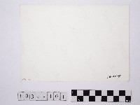 黃則修攝梯田藏品圖，第2張