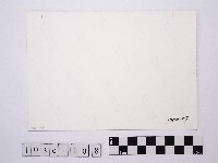 黃則修攝磚造洋樓一隅藏品圖，第2張