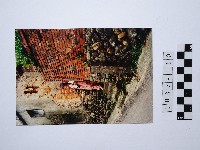 黃則修攝一名下樓梯的女子藏品圖，第1張