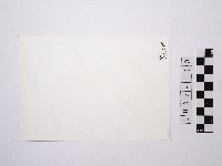 黃則修攝一名下樓梯的女子藏品圖，第2張