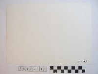 黃則修攝屋簷藏品圖，第2張