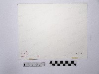 黃則修攝河面藏品圖，第2張