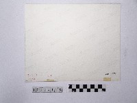 黃則修攝岸邊藏品圖，第2張