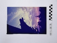 黃則修攝吊鐘藏品圖，第1張