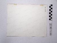 黃則修攝椰子樹藏品圖，第2張