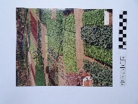 黃則修攝田園藏品圖，第1張