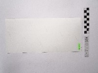 黃則修攝中正紀念堂藏品圖，第1張