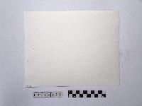 黃則修攝楊柳湖畔藏品圖，第2張