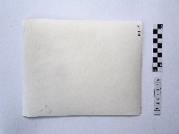 黃則修攝野柳地景藏品圖，第2張