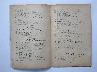 《BPS 1884,Birmingham Photographic Society》藏品圖，第20張