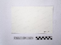 黃則修攝達悟族族人藏品圖，第2張