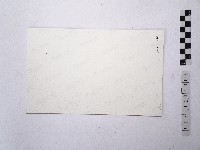 黃則修攝一名戴著銀盔的男性長者藏品圖，第2張